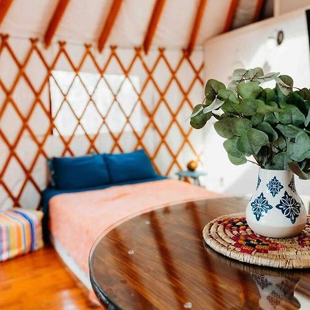 Heated & Ac Yurt Villa Penn Yan Exteriör bild