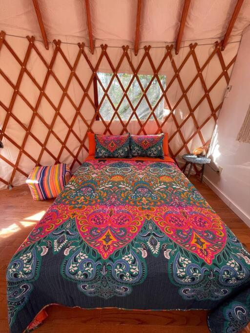 Heated & Ac Yurt Villa Penn Yan Exteriör bild